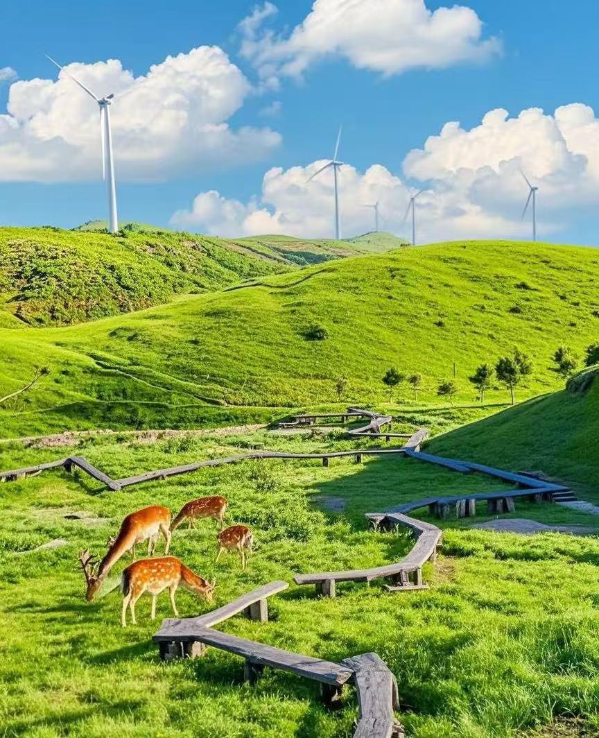 郴州旅游仰天湖+莽山五指峰+東江湖+高椅嶺